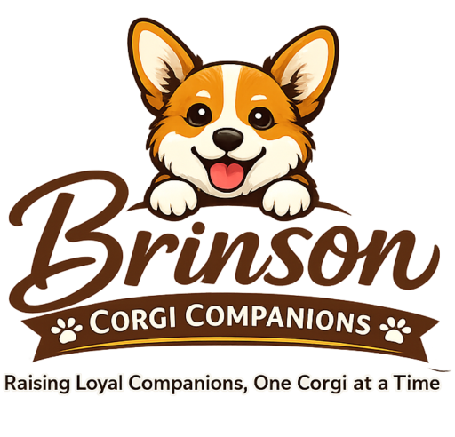 Brinson Corgi Companions